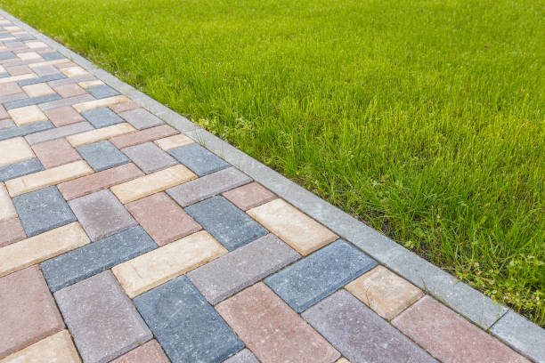 Best Decorative Driveway Pavers in Colorado City, TX